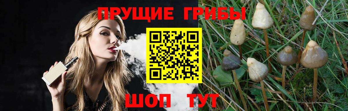 Сухой Лог  Галлюциногенные грибы Psilocybine cubensis  Псилоцибиновые грибы Magic Shrooms  Вход с VPN 